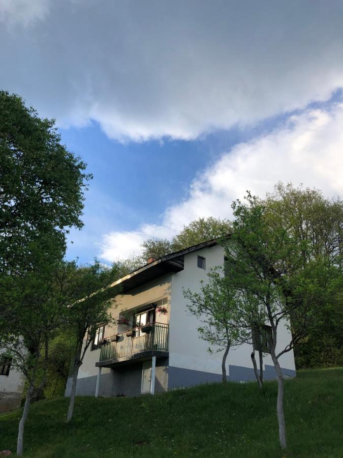 Etno Kuca Milidrag Villa Foca Bagian luar foto